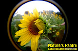naturespantryonlinecom