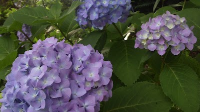 2014-06-02 08.00.26.jpg