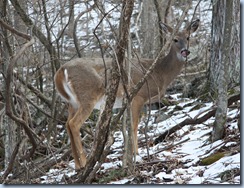 IMG_4635 IMG_4635