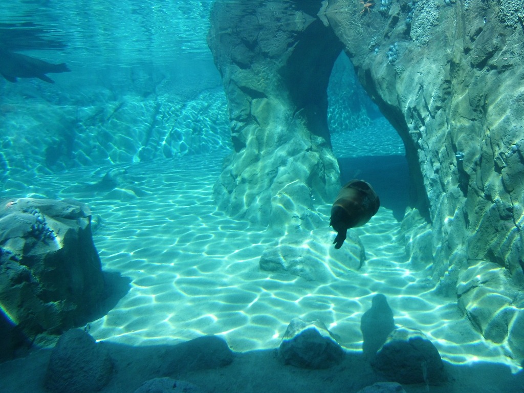 [Fresno%2520Zoo%2520021%255B7%255D.jpg]