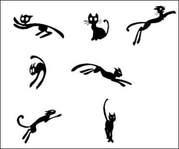 gato-b6 gato-b6