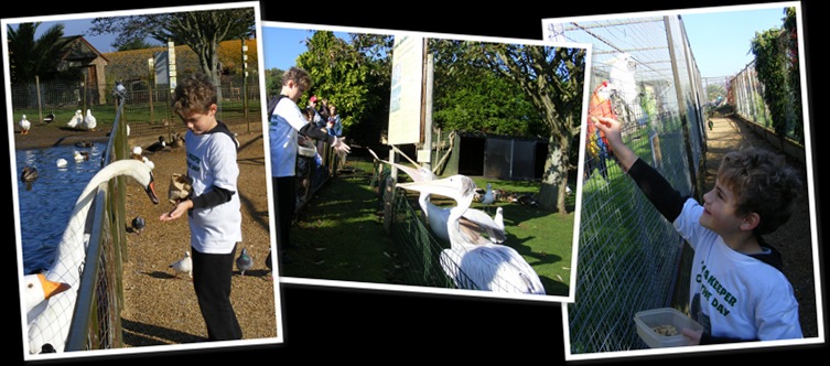 View Kameron Taylor 2 JWE 2011