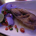 R0027359.JPG