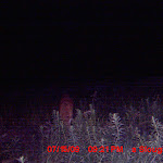 MDGC0252.JPG
