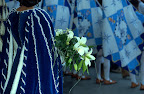 http://lh5.ggpht.com/-0oqtb1RhYFU/RzwAaUEHUvI/AAAAAAAAAFM/f9Y529JjNjs/s144/12.jpg