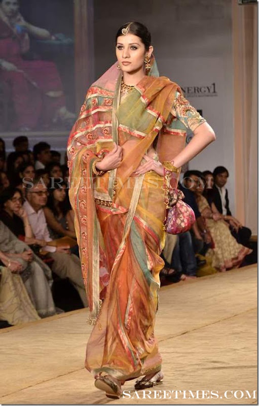 Ashima_Leena_Designer_Sari