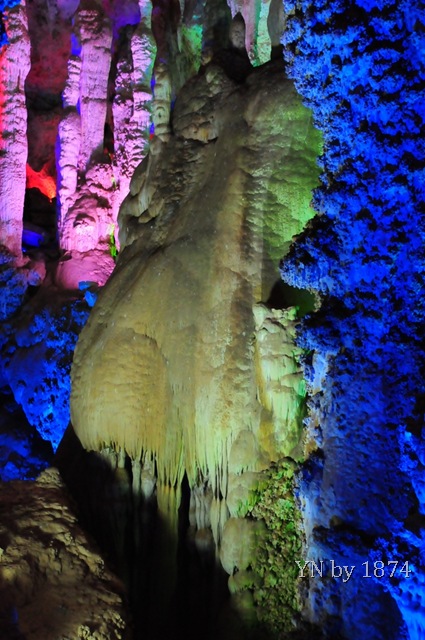 [DSC_5448%255B9%255D.jpg]