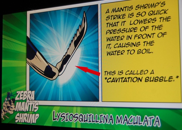 [aquarium32%255B2%255D.jpg]