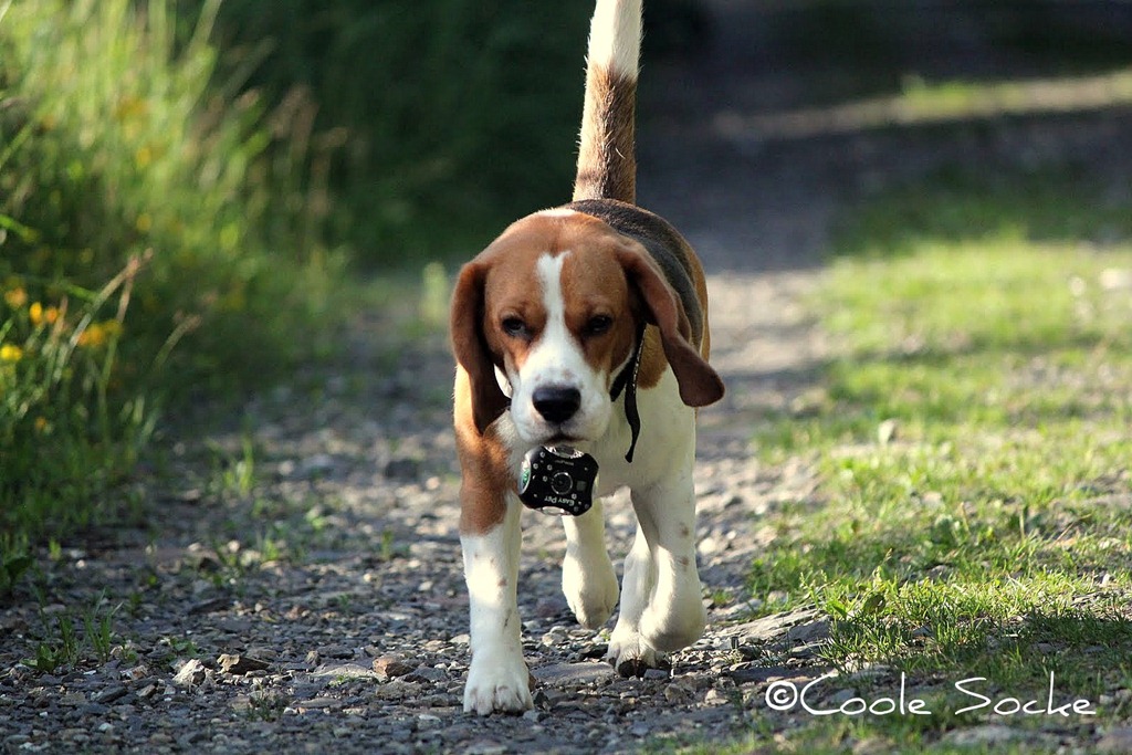 [IMG_2675%255B3%255D.jpg]