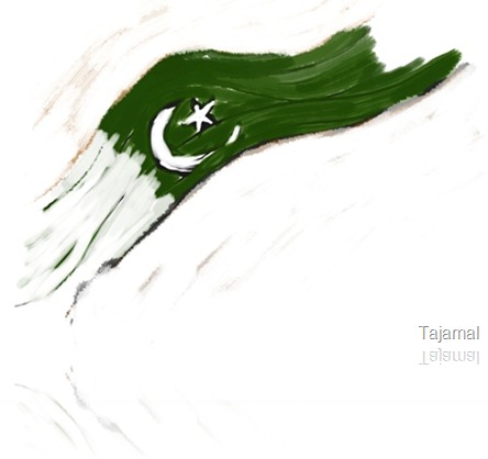 coloured painting of pak flag  by tajamal