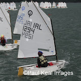 OPTIMIST MUNSTERS SUNDAY (Paul Keal Images)