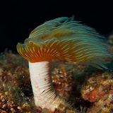 20091022-IMG_5938