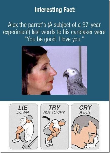 viral-picdump-pics-11