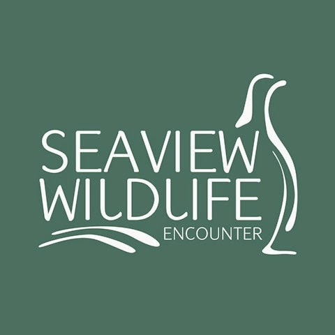 [SWE%2520logo%2520medium%255B2%255D.jpg]