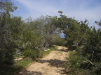 136.JPG
