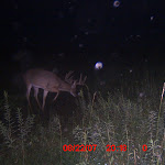 ICAM0069 (2).JPG