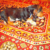 DSCN2484.JPG