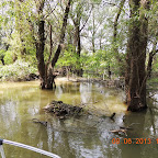 DSCN7227.JPG