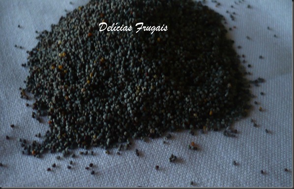 Semente de Papoula Semente de papoula -Delícias Frugais