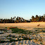 Beach at Nemberala