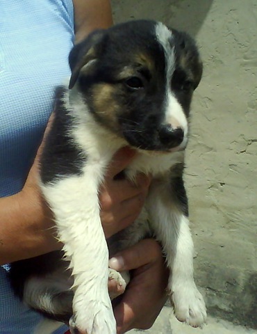 [Perla%2520%25281%2529%255B4%255D.jpg]