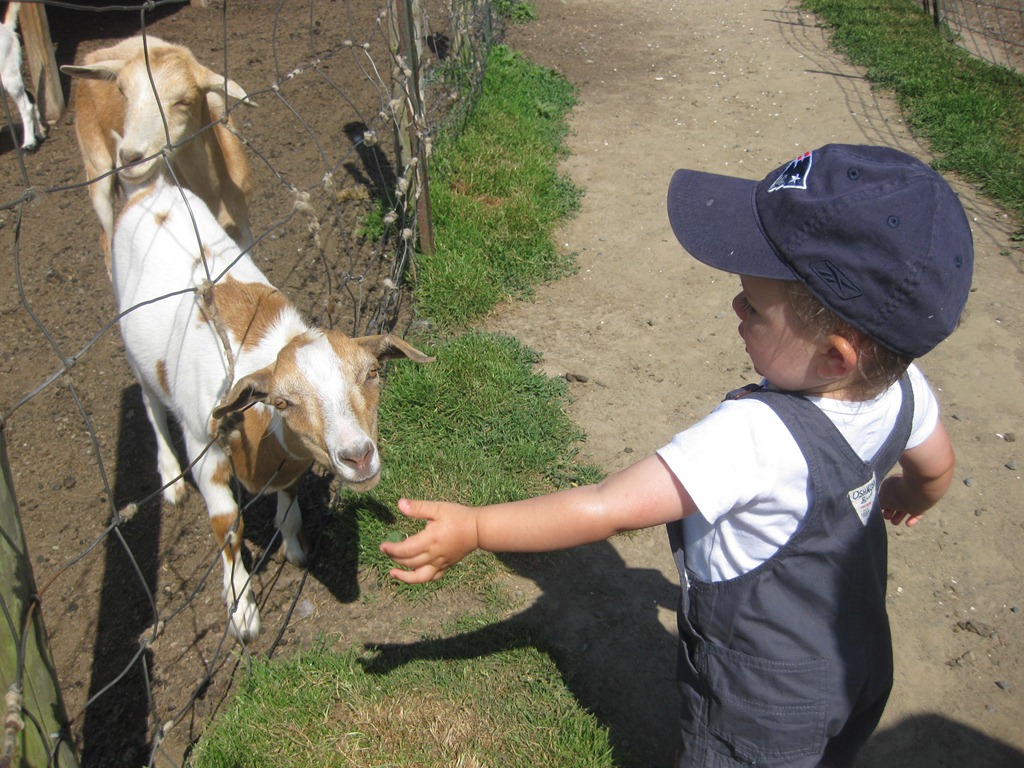 [2012.06.24%25204-Petting%2520Zoo%2520%252813%2529%255B4%255D.jpg]