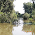 DSCN9381.JPG