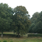 DSC_8738.JPG