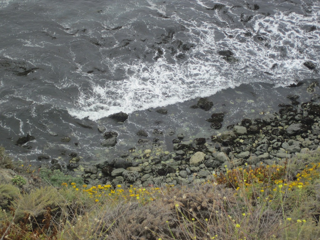 [IMG_0620%255B5%255D.jpg]