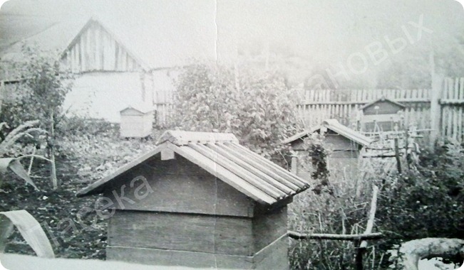 Пасека Султановых 1950 год Пасека Султановых 1950 год
