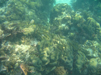 IMG_4448.jpg