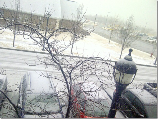 IMG-20120123-02509