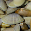 P1000817.JPG