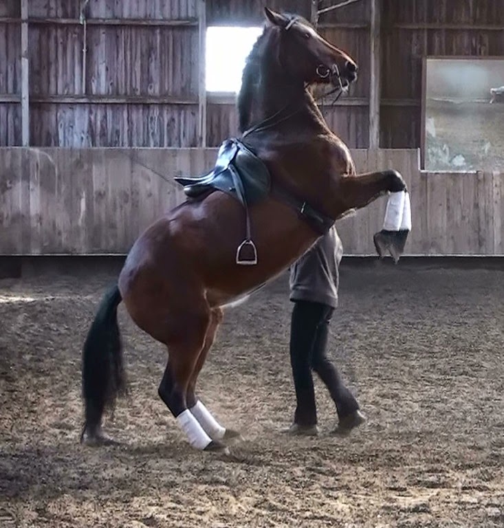 [cera%2520steigen%255B3%255D.jpg]