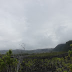 IMG_2013.JPG