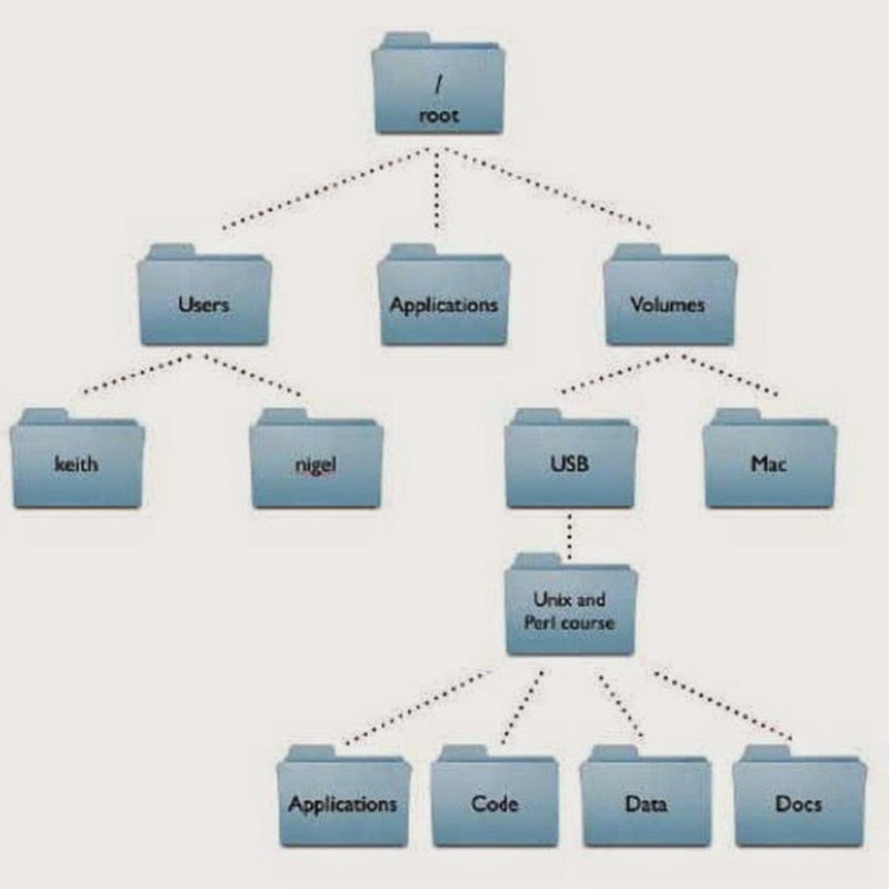 PerlPrimer open-source PCR primer design.