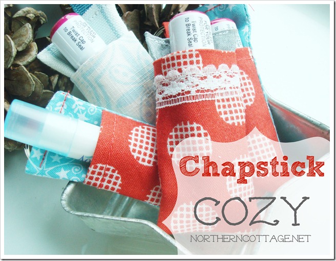 Adorable Chapstick Cozy @ Northern Cottage.net
