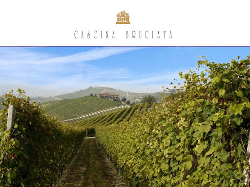 燃燒的Dolcetto - Cascina Bruciata
話說該酒莊有著特別的名稱，意思為