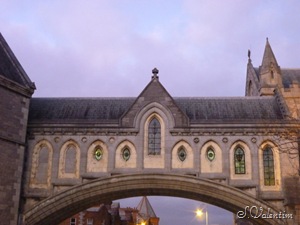 [P1120606%255B4%255D.jpg]