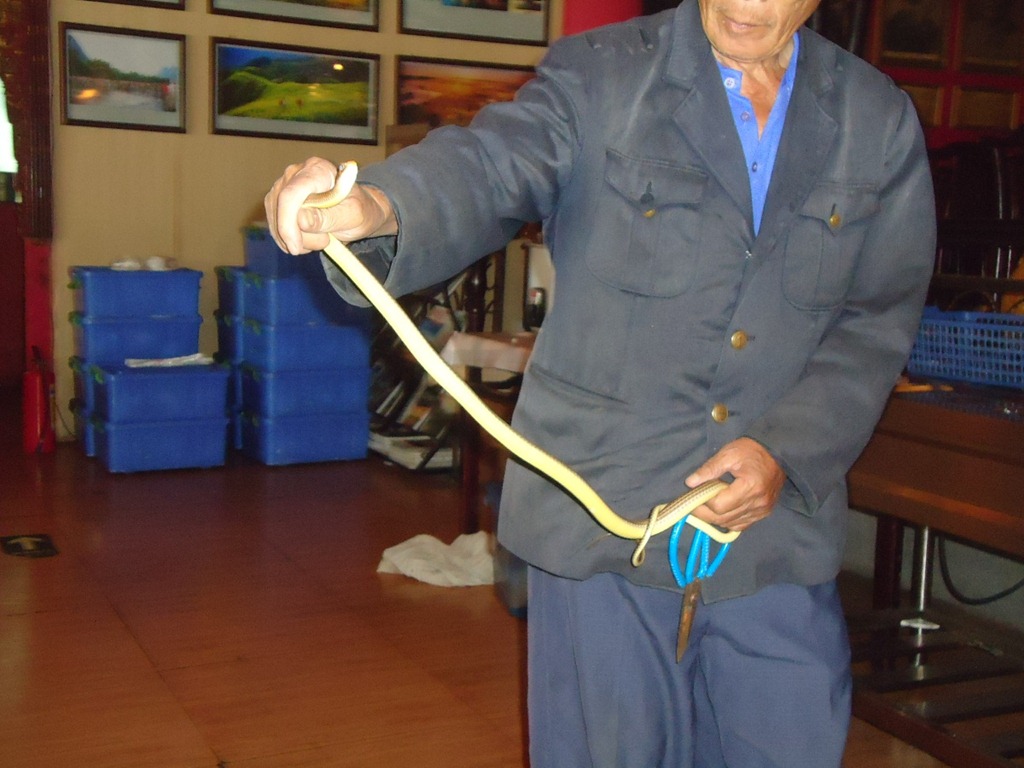 [DSC06839%255B4%255D.jpg]