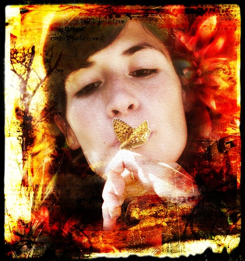oruga - mariposa