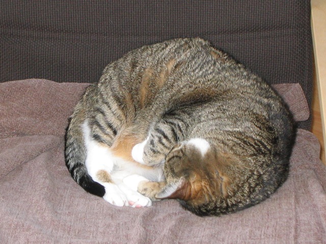 [IMG_0214%255B7%255D.jpg]