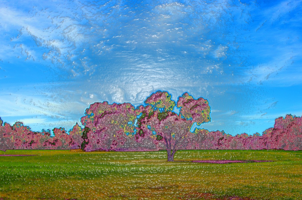 [IMGP8513_edited-1%255B5%255D.jpg]