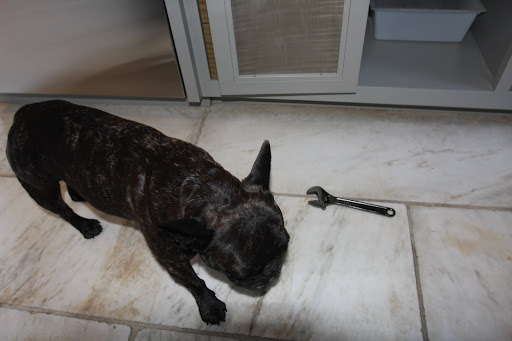 Sharkey, that's why the plumber was called.