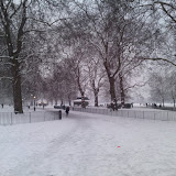 DSC00350.JPG