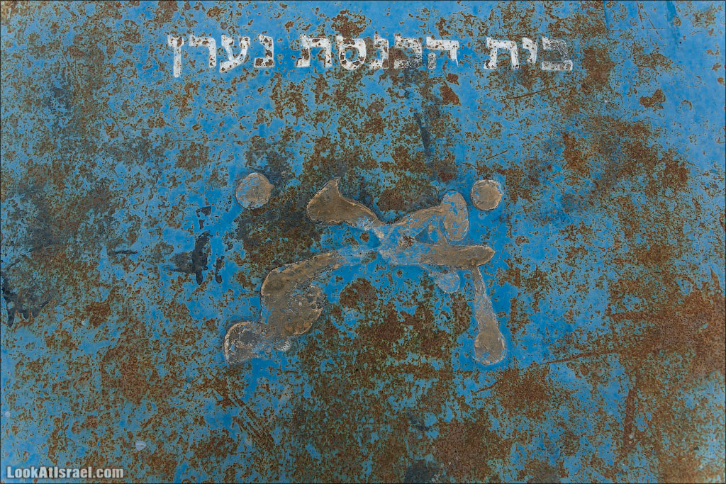 О синагоге в Нааране и олене с прямыми ногами