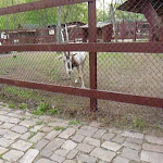 P1090686.JPG