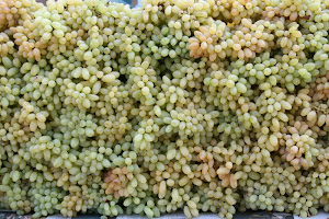 Grape it