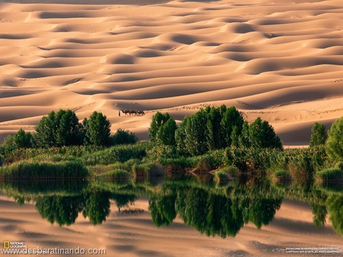 wallpapers national geographic desbaratinando (28) wallpapers national geographic desbaratinando (28)