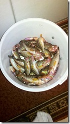 IMG_03092011_211740